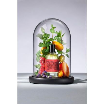 Bullfrog Eau De Toilette Elements Fire 100Ml - Image 3