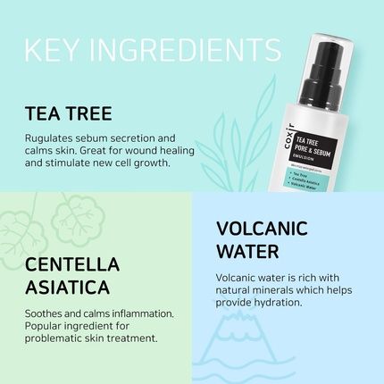 Coxir Tea Tree Pore & Sebum Emulsion 100Ml For Oil Balance And Pore Minimization - Image 3