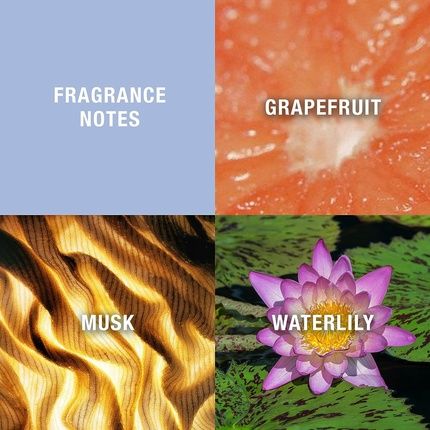 Liz Claiborne Curve Eau De Toilette For Women 100Ml