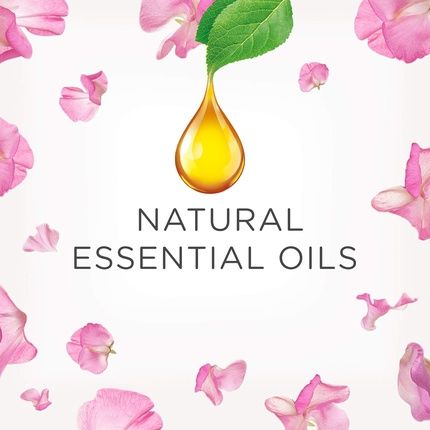 Air Wick Essential Oils Air Freshener Electrical Plug Refill Pink Sweet Pea 19Ml - Image 3