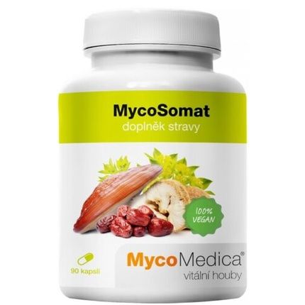 Mycomedica Mycosomat Stress And Depression 90 Capsules
