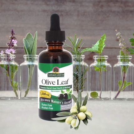 Nature'S Answer Alcohol-Free Oleopein Olive Leaf 2 Fl Oz
