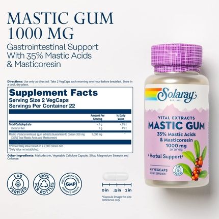 Solaray Mastic Gum 1000Mg Gut Health And Digestion Supplement 45 Vegcaps