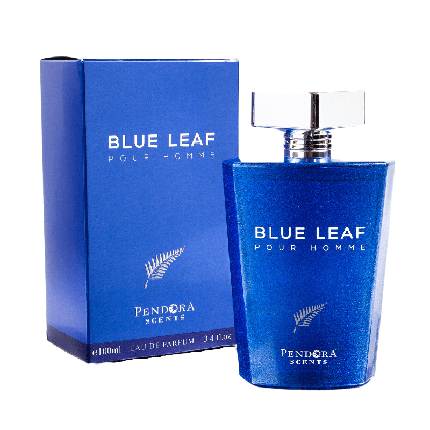 Pendora Blue Leaf Eau De Parfum 100Ml For Men