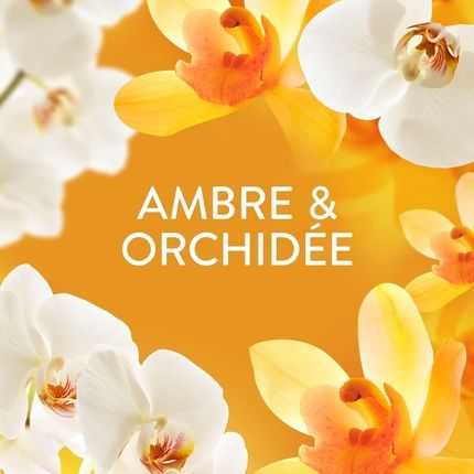 Lenor Pearl Laundry Fragrance 78 Washes 155G Amber And Orchid - Image 3