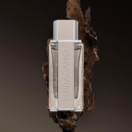 Ferragamo Bright Leather Eau De Toilette Pour Homme Cologne Spray 17