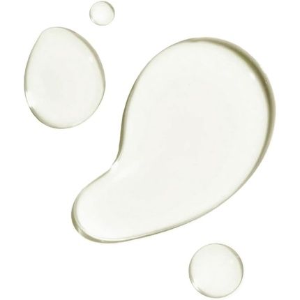 Teaology Bancha Oil 100Ml