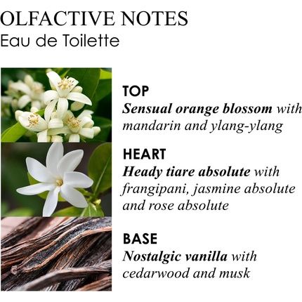 Molton Brown Flora Luminare Eau De Toilette 50Ml New Version