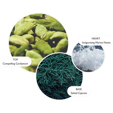 Molton Brown Coastal Cypress & Sea Fennel Signature Scented Single Wick Candle 190G