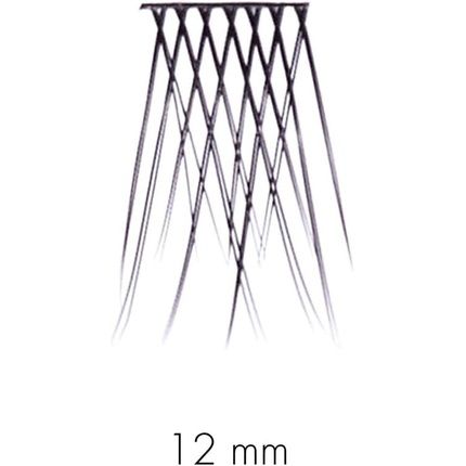 Sweed No Lash Cluster 12Mm