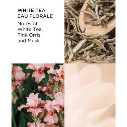 Elizabeth Arden White Tea Eau De Toilette Spray Perfume For Women Eau Florale 1.7 Fl Oz - Image 3