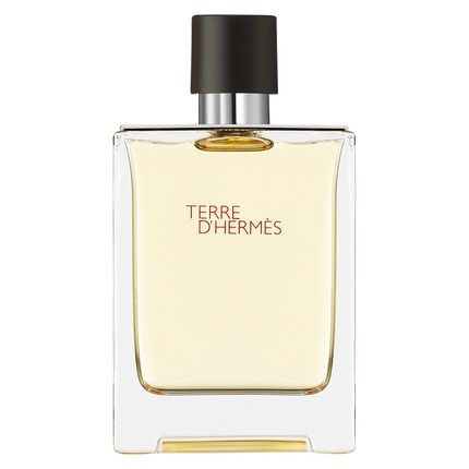 Hermes Terre D'Hermes Eau De Toilette Spray 100Ml