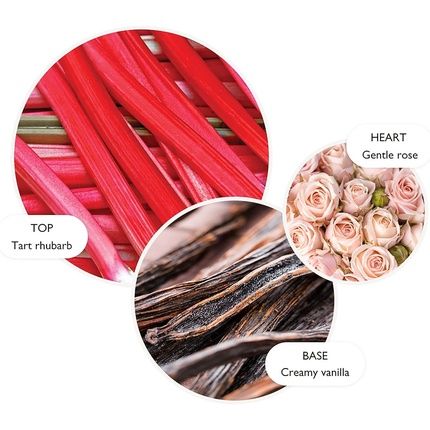 Molton Brown Delicious Rhubarb & Rose Aroma Reeds Refill 150Ml