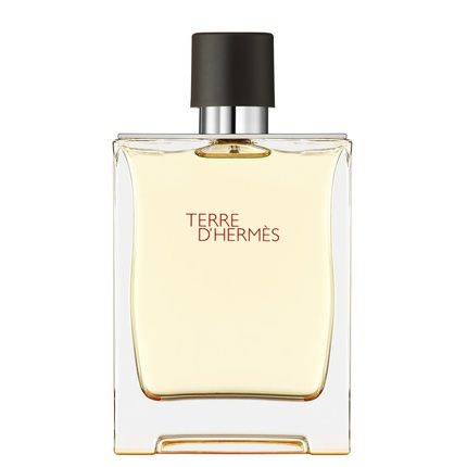 Hermes Terre D'Hermes Eau De Toilette Spray 200Ml