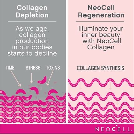 Neocell Beauty Infusion Collagen Supplement Drink Mix Powder 6000Mg Cranberry Flavor 11.64 Ounces - Image 3