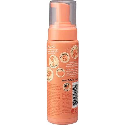 Pet Head Dog Grooming Deodoriser Foam, Quick Fix Foam, For A Simple Dry