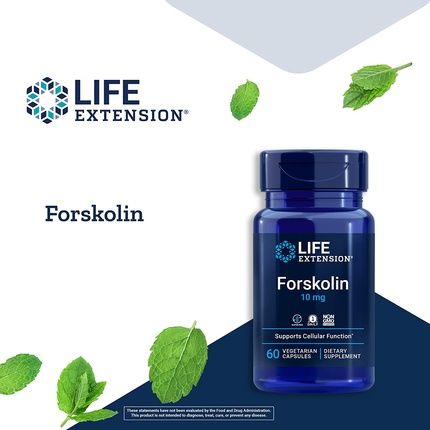 Life Extension Forskolin 10Mg 60 Vcaps - Image 3