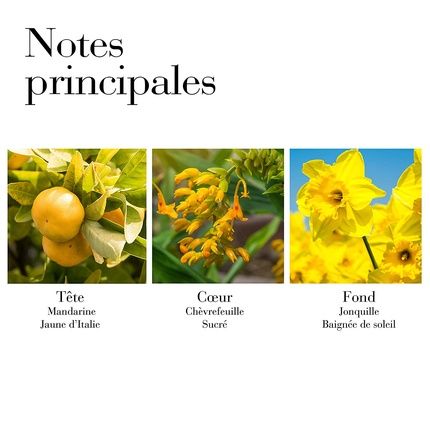 Elizabeth Arden Sunflowers Sunlight Kiss Edt Vapo 100Ml - Image 3