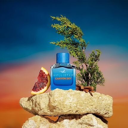 Hollister Canyon Sky For Him Eau De Toilette 100Ml - Image 3