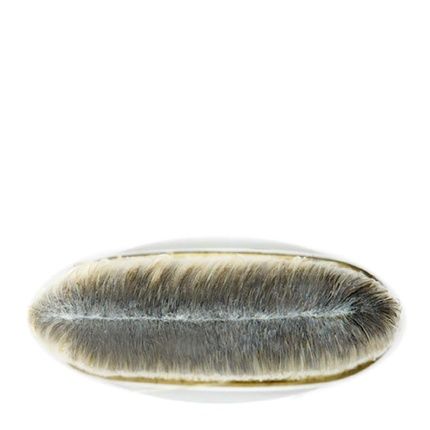 Mac 190 Foundation Brush - Image 3