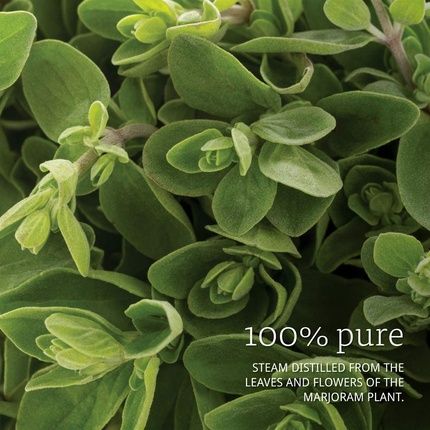 Now Foods 100% Pure Marjoram Oil 1 Fl Oz 30Ml - Image 3