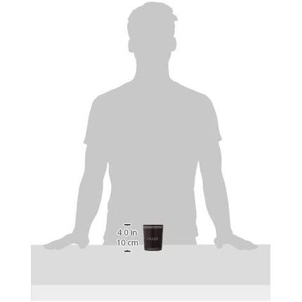 Lalique Special Edition The Volcavo Maui Hawaii Candle - Image 3