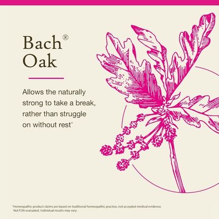 Bach Original Flower Remedies Oak - Restore Endurance Natural Homeopathic - Image 3