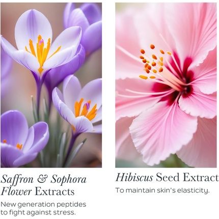 Sothys Firming Comfort Youth Cream 50Ml 1.69Oz - Image 3