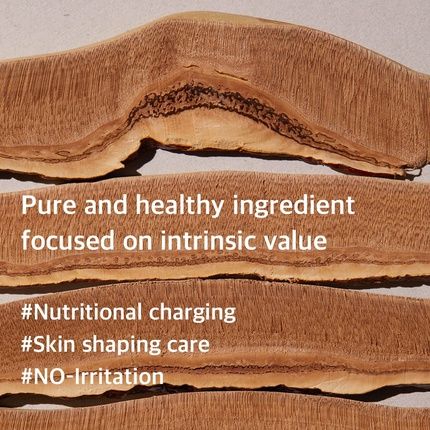 Mixsoon Reishi Mushroom Essence 3.38 Fl Oz 100Ml Facial Essence For Moisturization And Nourishment Rich In Vitamins And Peptides - Image 3