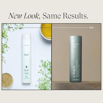 Lanza Healing Strength White Tea Shampoo - Strengthens, Protects, And Restores