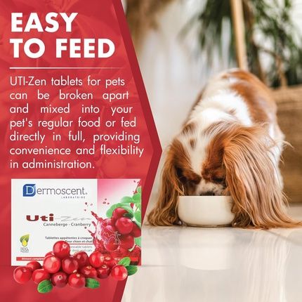 Dermoscent Uti-Zen Cranberry Tablets For Dogs & Cats Food Supplement - Image 3