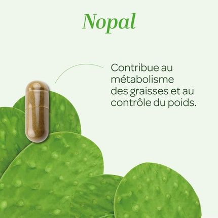 Superdiet Nopal Bio 90 Weight Control Phytotherapy - Image 3