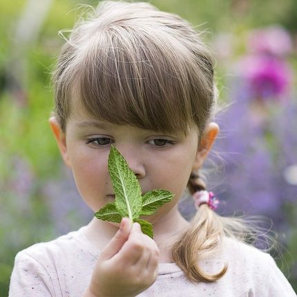 Weleda Bio Kids 2In1 Shower & Shampoo Fresh Mint 150Ml - Image 3