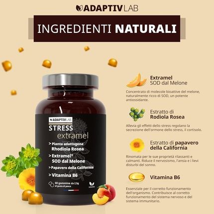 Rhodiola Food Supplement For Anti-Stress, Fatigue, Anxiety, And Relaxation - Image 3