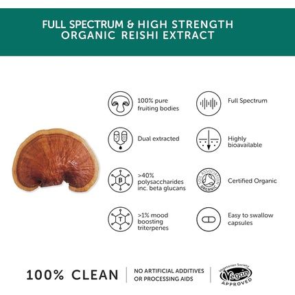 Organic Reishi High Strength 10000Mg 20:1 Dual Extract Full Spectrum 100% Fruiting Bodies Guaranteed 40% Polysaccharides & 30% Beta-Glucans Guaranteed Hericenones Additive Free - Image 3