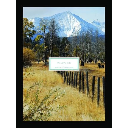 Lalique Poplar Aspen United States Candle - Image 3