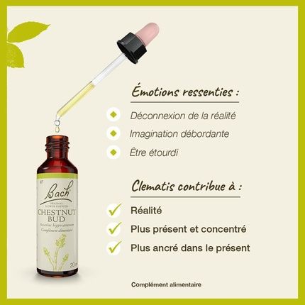 Fleurs De Bach Original Clematis 20Ml - Image 3