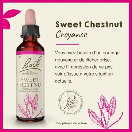 Fleurs De Bach Original Sweet Chestnut 20Ml