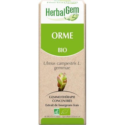 Concentrated Mother Macerates Elm 30Ml