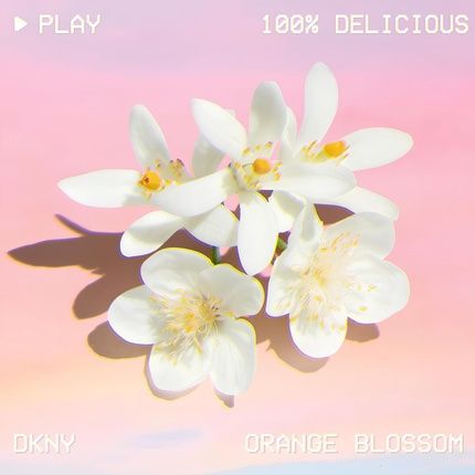 Dkny Be Delicious 100% Eau De Parfum 100Ml - Image 3