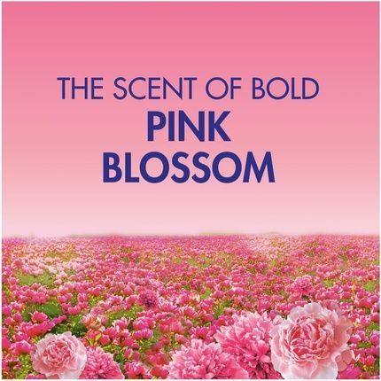 Bold 2In1 Washing Liquid Gel Pink Blossom 1320Ml - Image 3