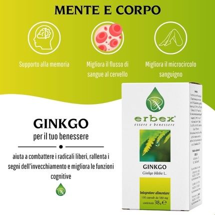 Erbex Strong Vegan Ginkgo Biloba Supplement To Prevent Aging