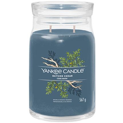 Yankee Candle Bayside Cedar Signature Candle Medium Glass 368 G