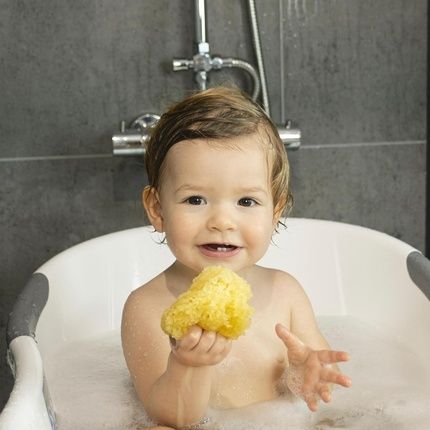 Dbb Remond Natural Sponge - Pack Of 2 - Image 3