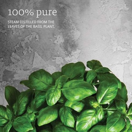 Now Foods Basil Oil 1Oz - Image 3