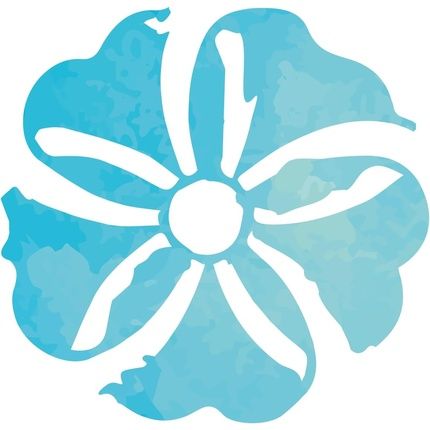 Terpenic Cypress De Provence 10Ml