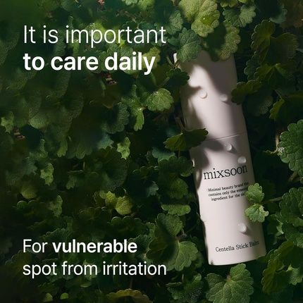 Mixsoon Centella Asiatica Stick Balm 11.5Ml