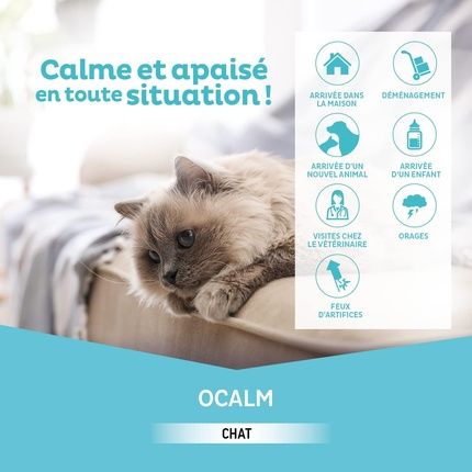 Clement Thekan O Calm Cat Calming Solution Refill 48Ml