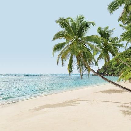 Thalgo Spa Pacific Islands Lagoon Bath Pebbles - Create A Soothing And Relaxing Bath Experience For Body And Mind - Image 3