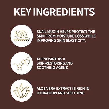 The Skin House Since 1979 Wrinkle Snail System Cream 3.38Oz 100Ml - Image 3